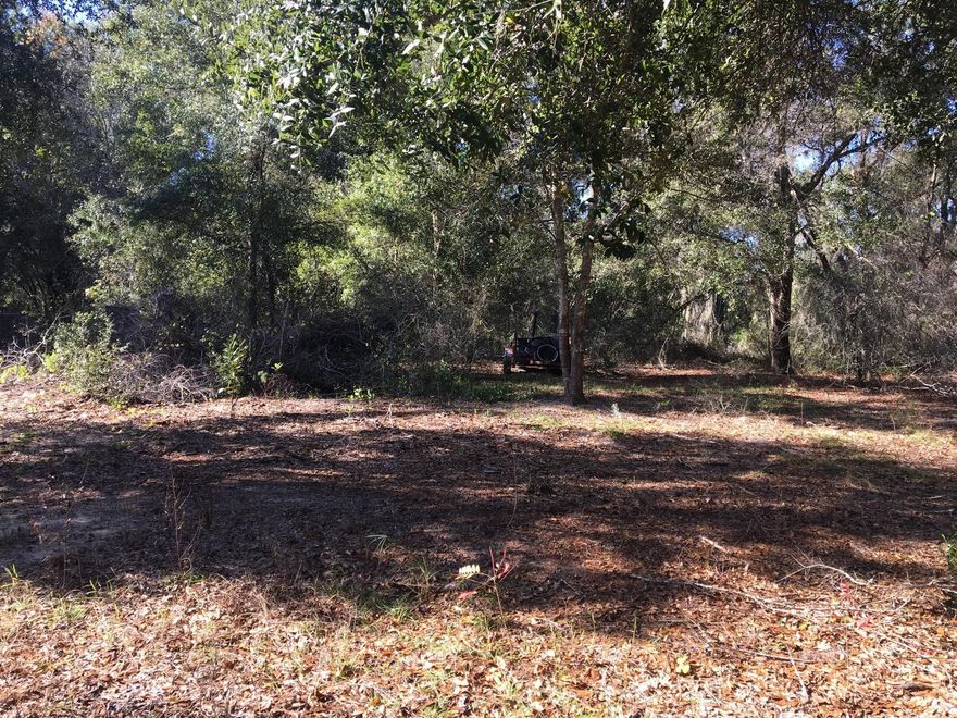Situated near the north shore of Lake Weir and many other small lakes, you'll find this 0.23 acres in an residential area of new and existing construction - homes only. It is about 18 miles from Ocala and Leesburg and 10 miles from The Villages.