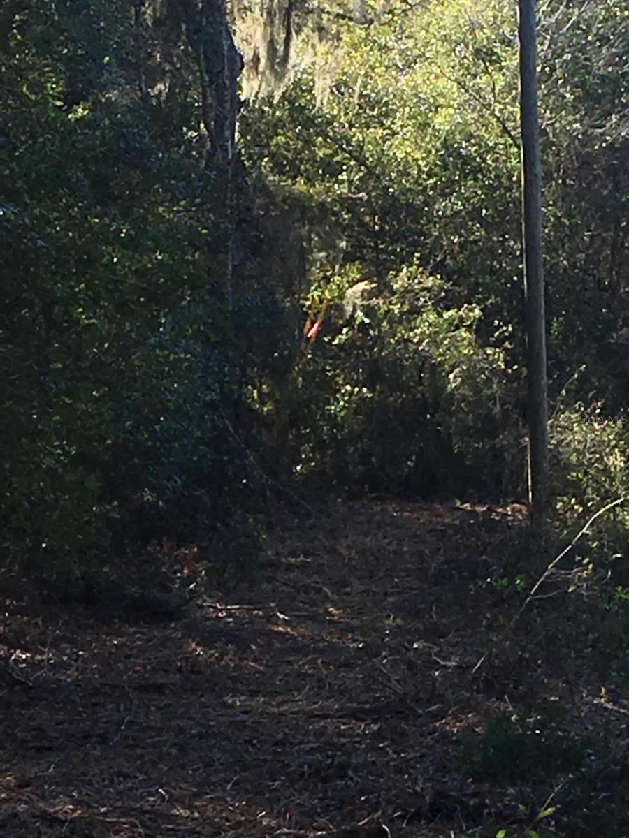 SILVER SPGS SHORES UN 31 - Land