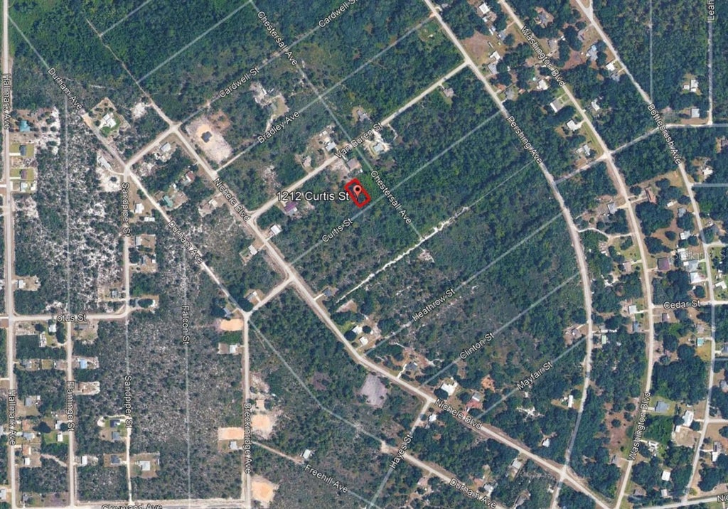 Photo of 1212 Curtis Street, Lake Placid, FL 33852 (MLS # O6451944)