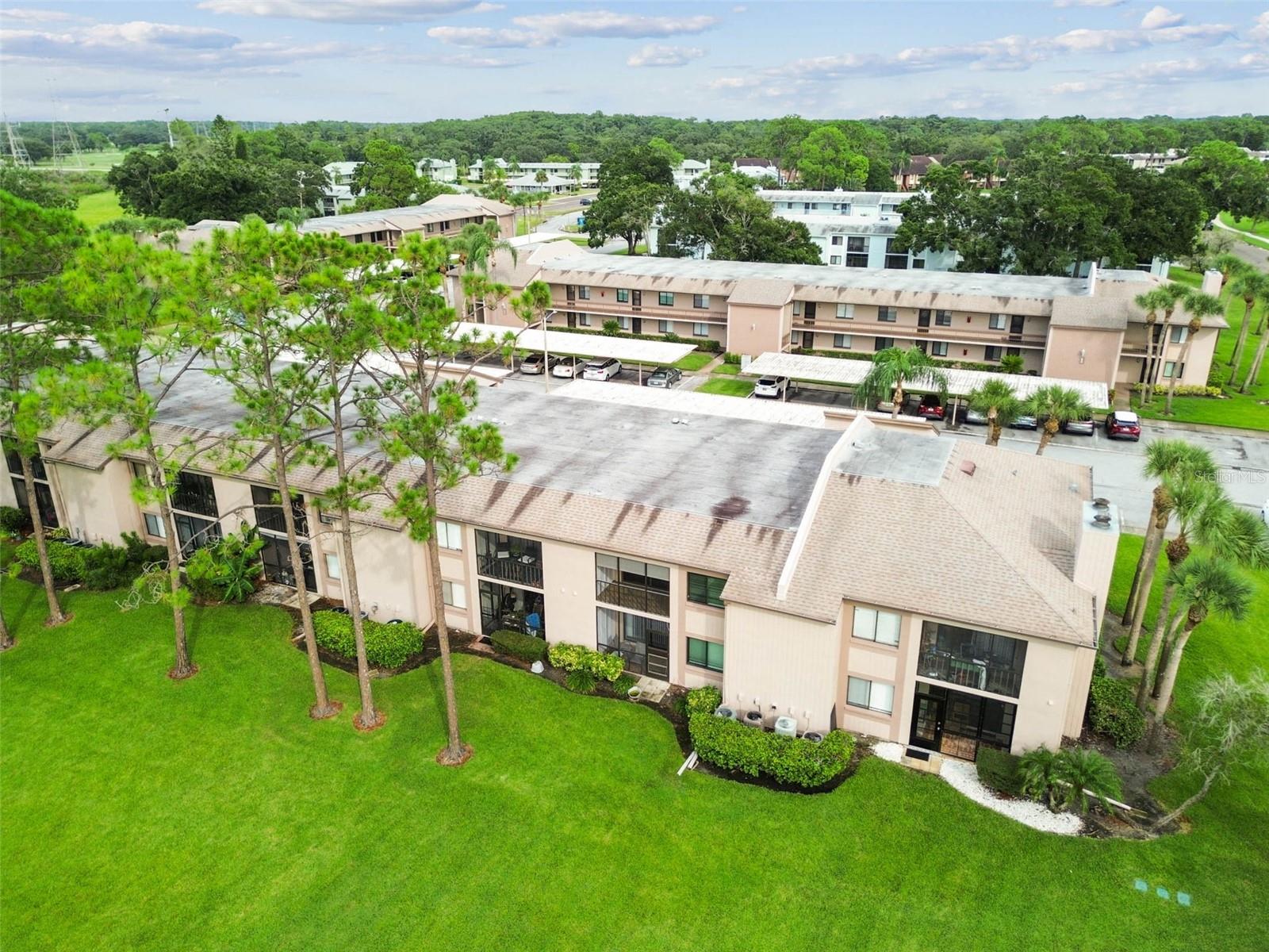 EAST LAKE WOODLANDS CONDO - Residential