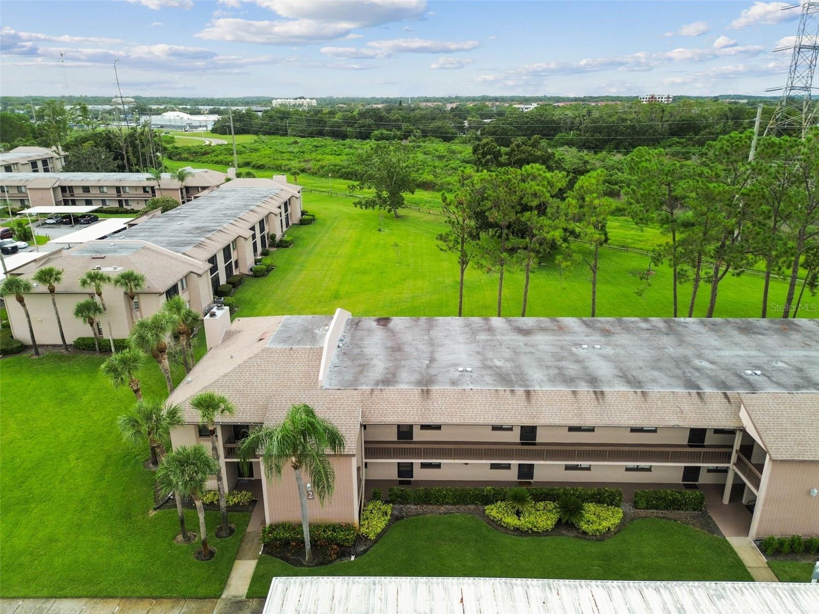 EAST LAKE WOODLANDS CONDO - Residential