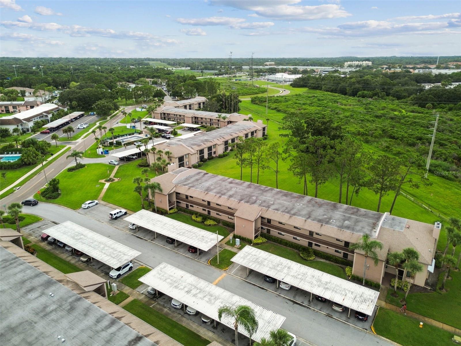 EAST LAKE WOODLANDS CONDO - Residential