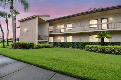 204 MARY DRIVE OLDSMAR FL 34677