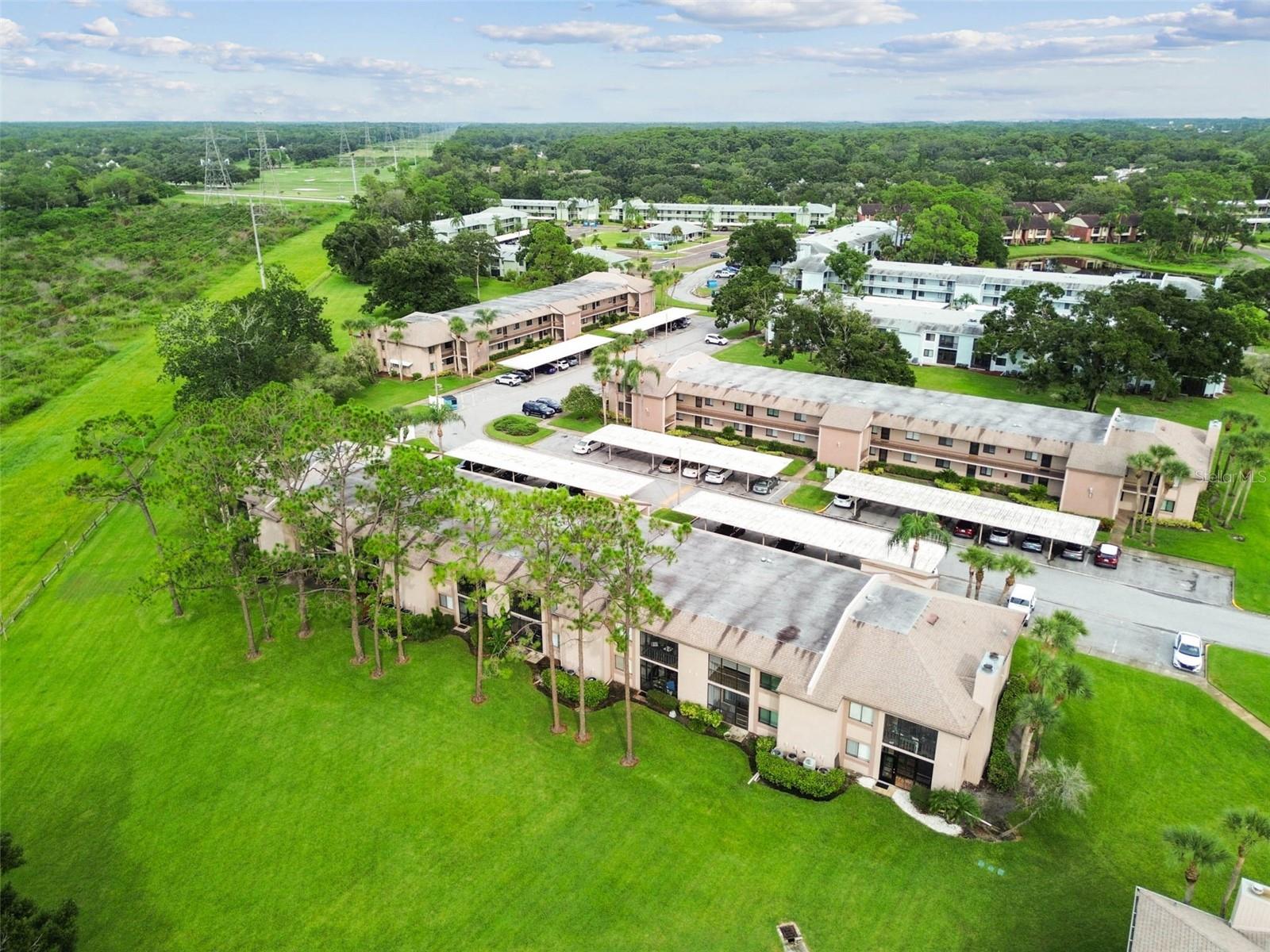 EAST LAKE WOODLANDS CONDO - Residential
