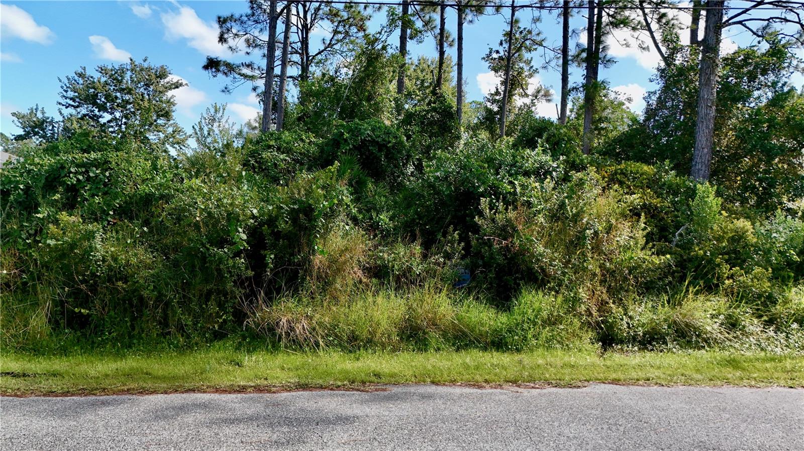 PALM COAST SEC 63 - Land