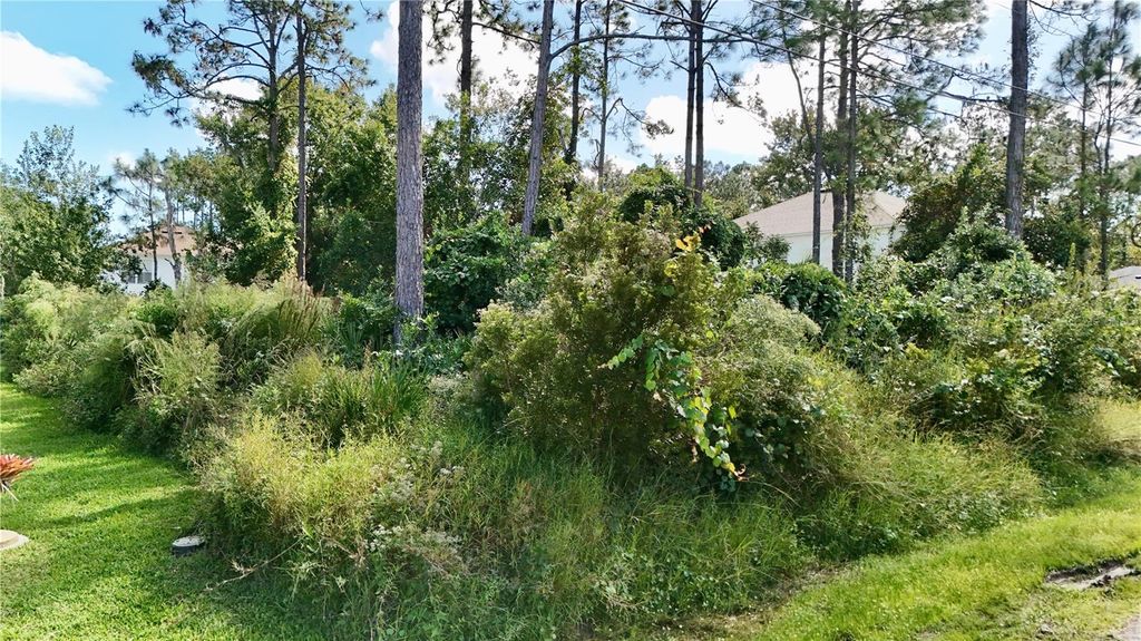 Photo of 13 Zinc Place, Palm Coast, FL 32164 (MLS # FC313483)