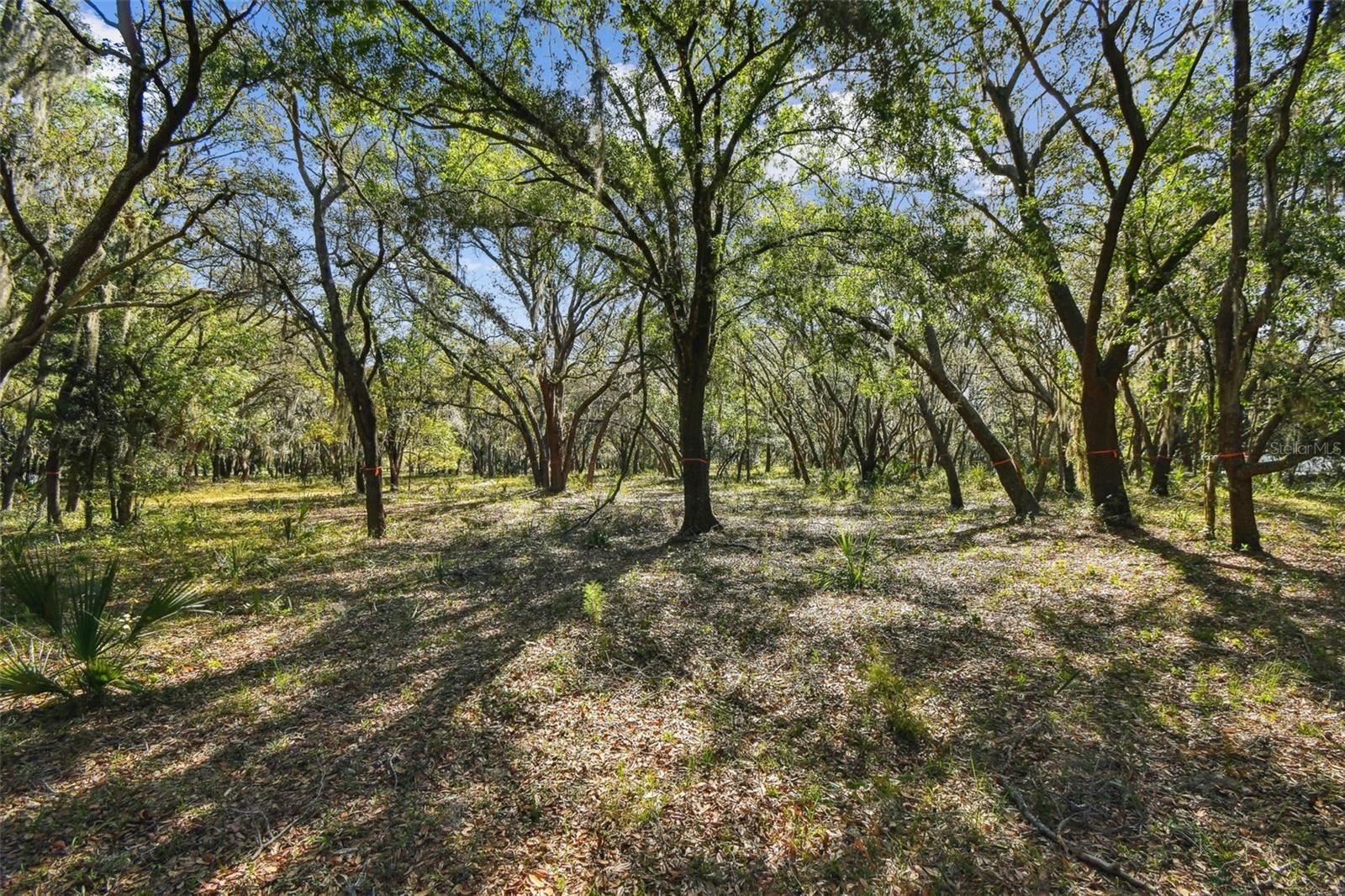 TWIN LAKES OF KEYSTONE - Land