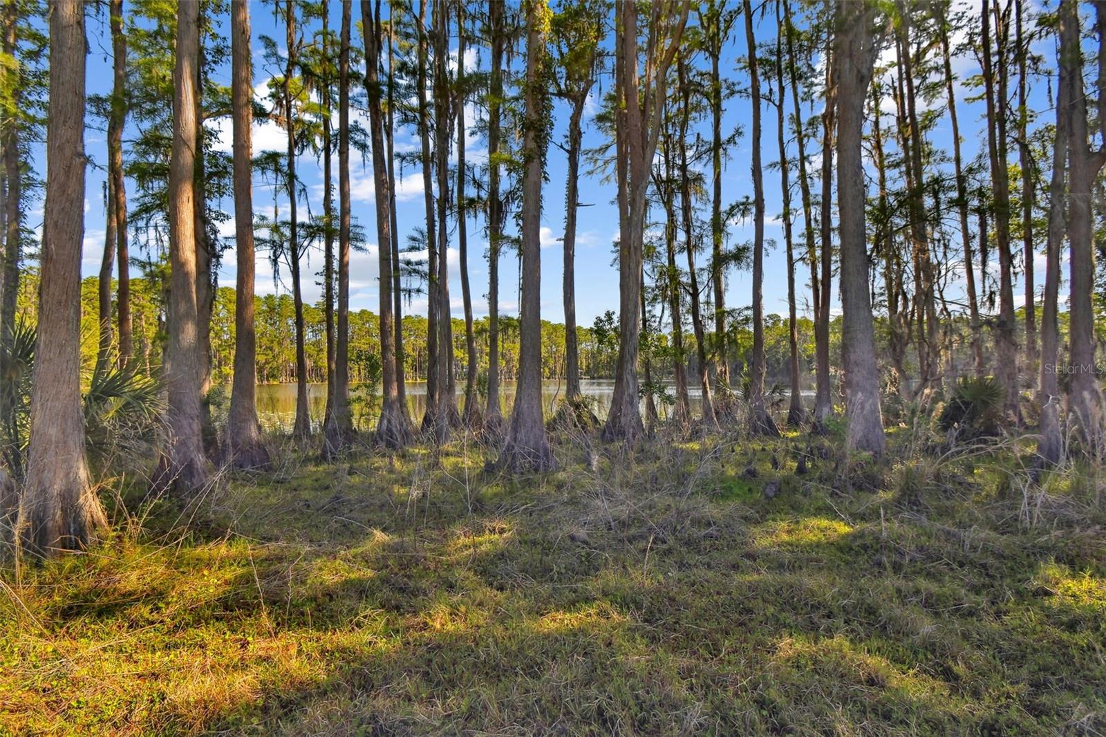TWIN LAKES OF KEYSTONE - Land