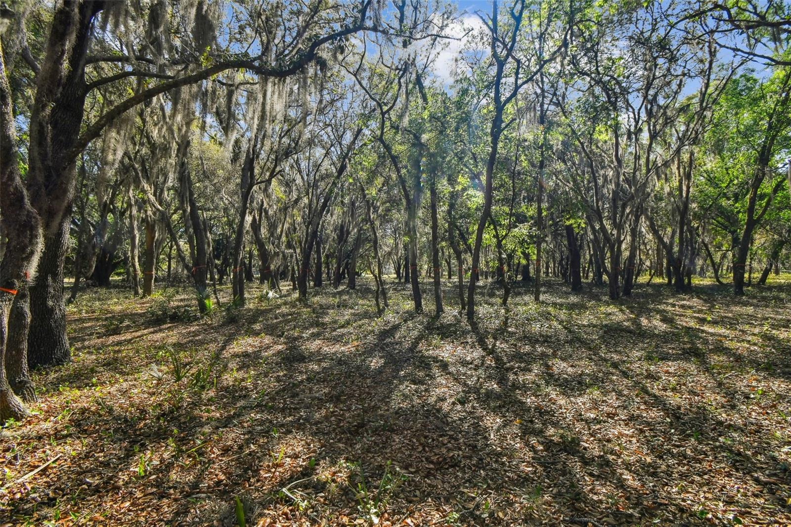 TWIN LAKES OF KEYSTONE - Land