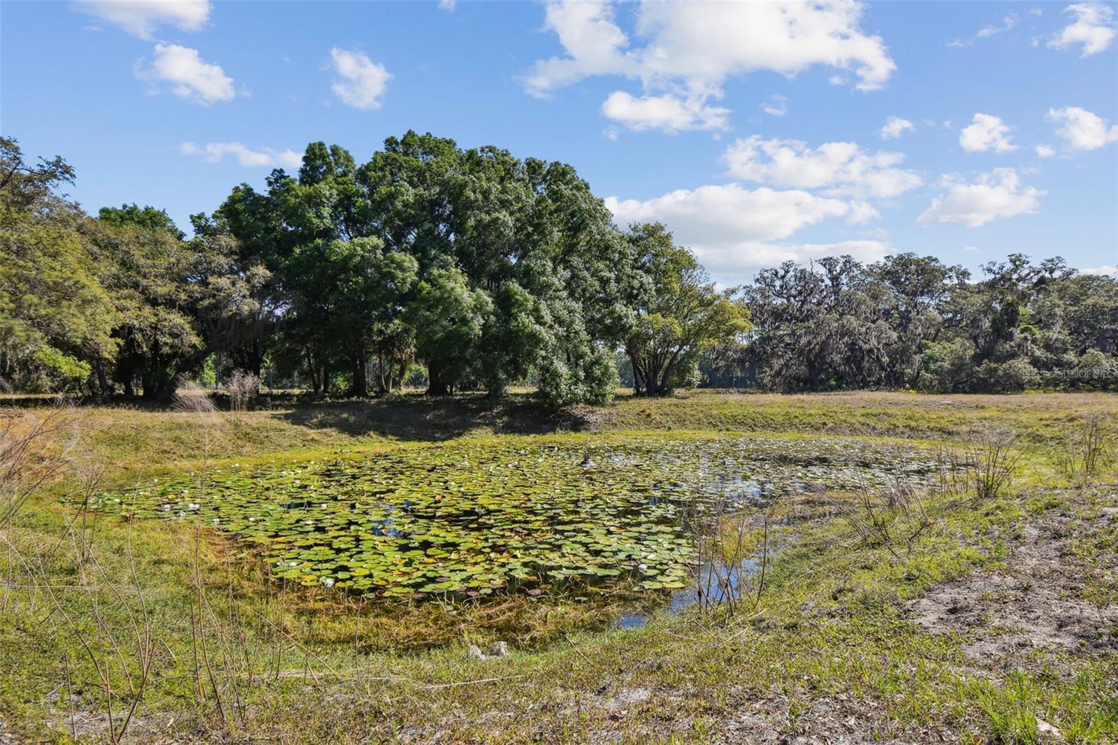 TWIN LAKES OF KEYSTONE - Land