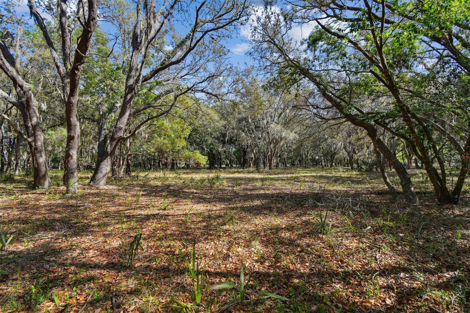 TWIN LAKES OF KEYSTONE - Land