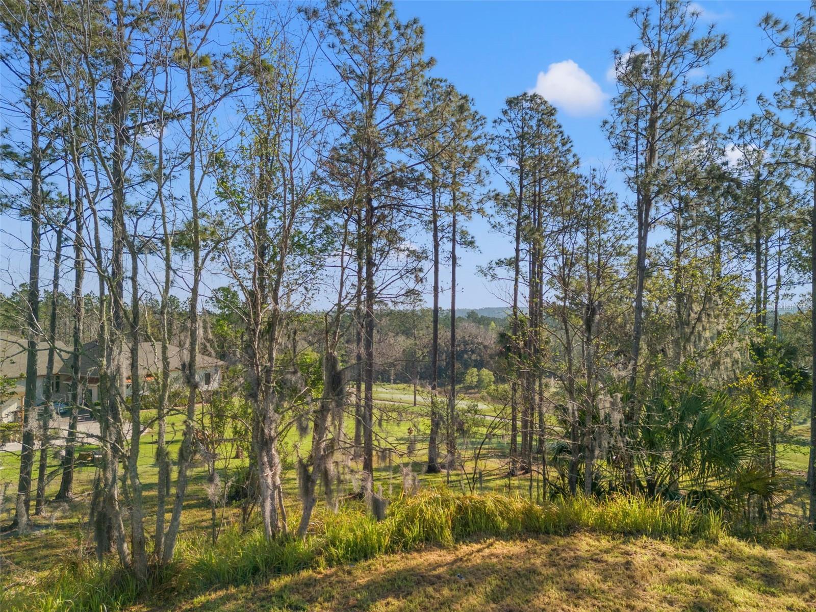 SOUTHERN HILLS PLANTATION PH 2 - Land