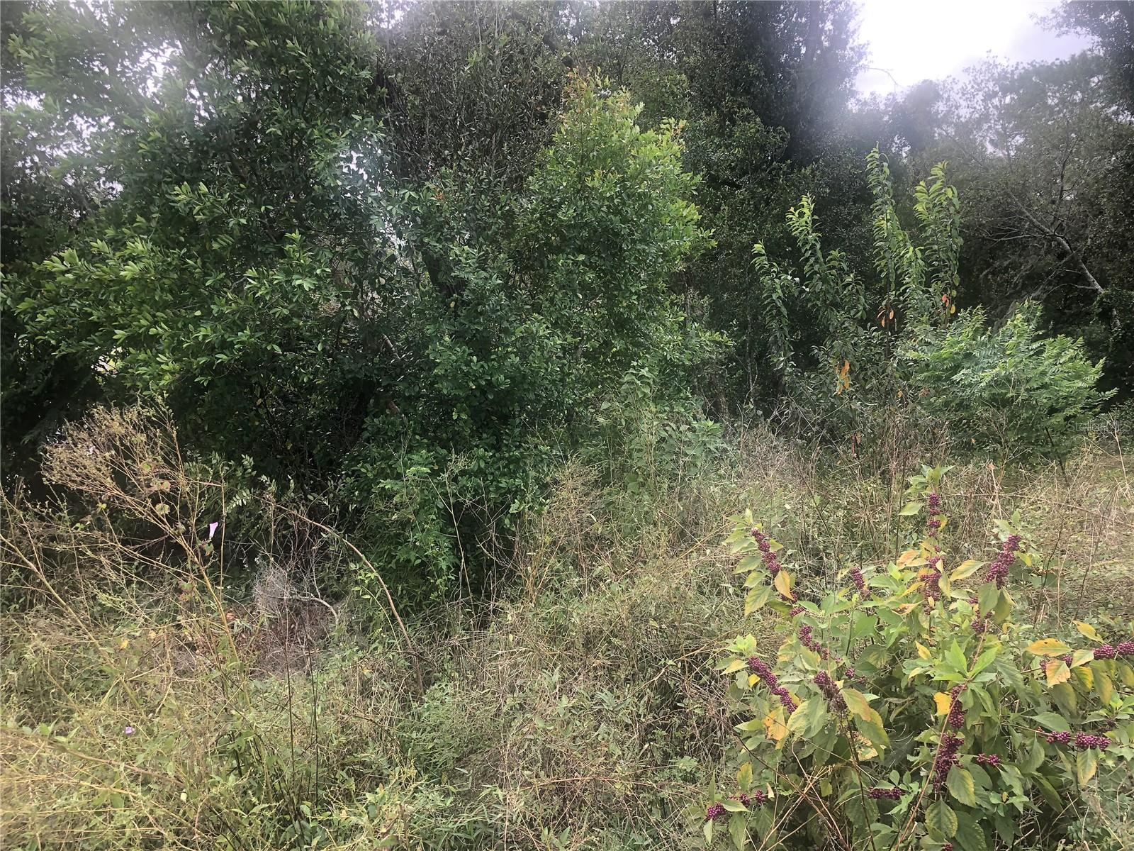 TWO/WEST HIGHLANDS 02 - Land