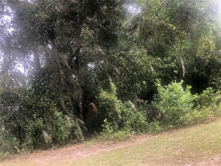 Good Buildable Lot located in West Highlands of Orange City on 12th st.  Treed lot where you can select what trees remain or keep.
 Great Access to I-4 and other through ways.