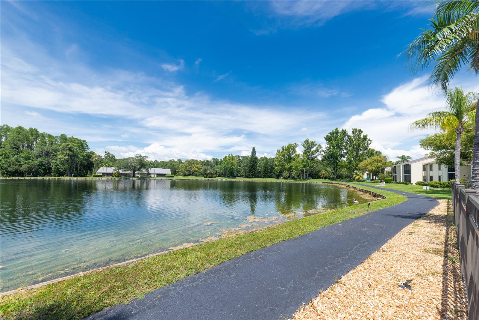 PINE RIDGE AT LAKE TARPON VILLAGE - Residential Lease