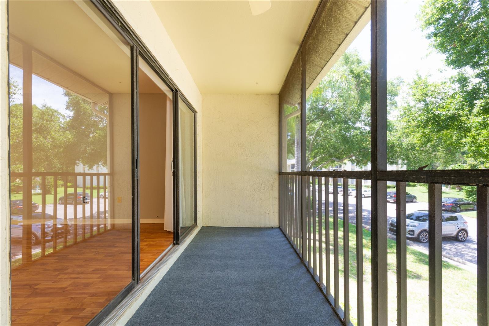 PINE RIDGE AT LAKE TARPON VILLAGE - Residential Lease