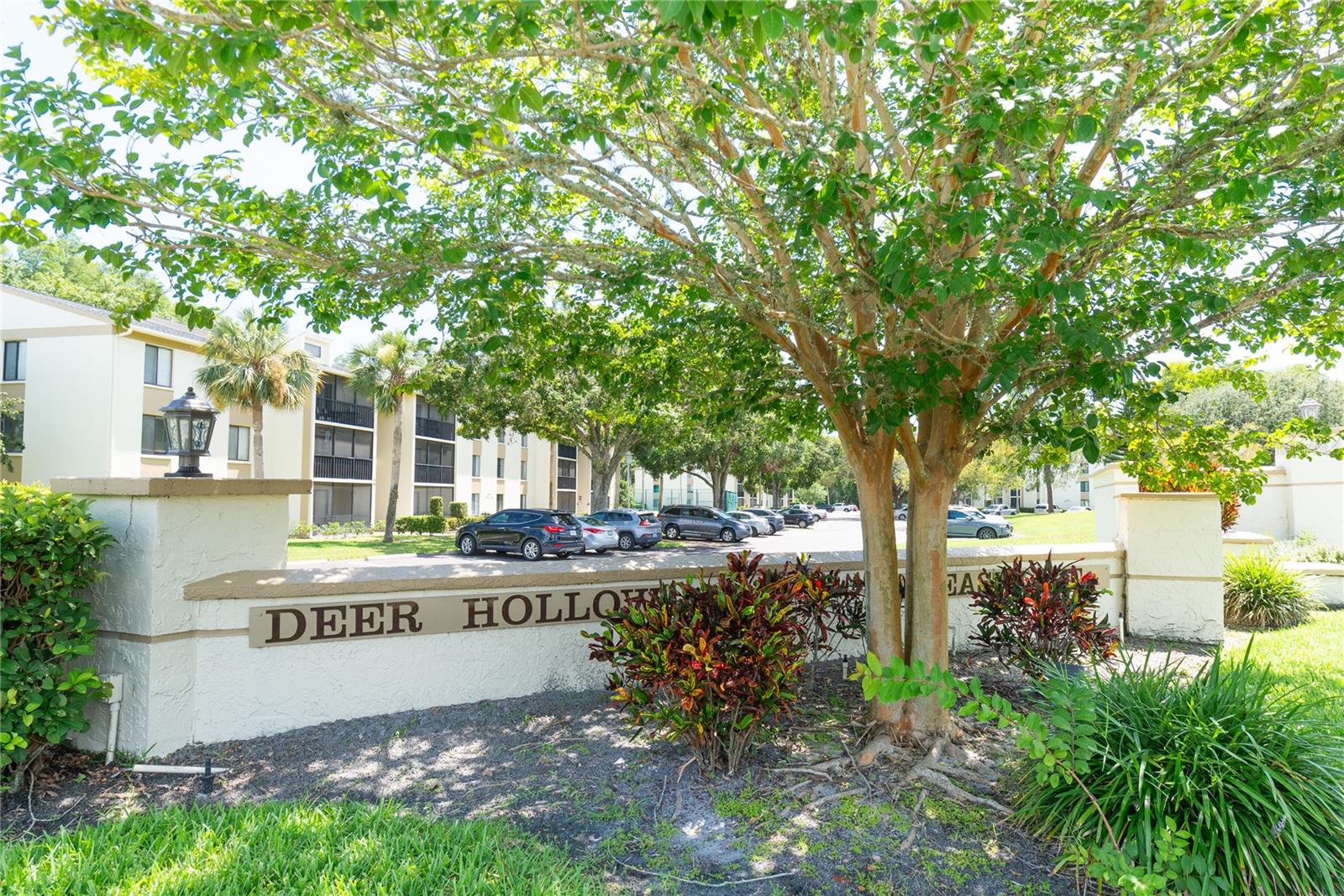 PINE RIDGE AT LAKE TARPON VILLAGE - Residential Lease