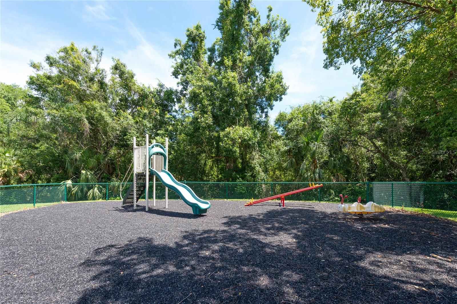 PINE RIDGE AT LAKE TARPON VILLAGE - Residential Lease