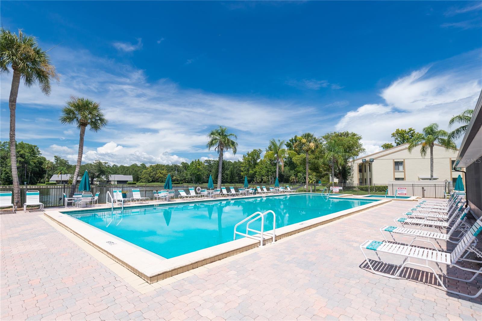 PINE RIDGE AT LAKE TARPON VILLAGE - Residential Lease