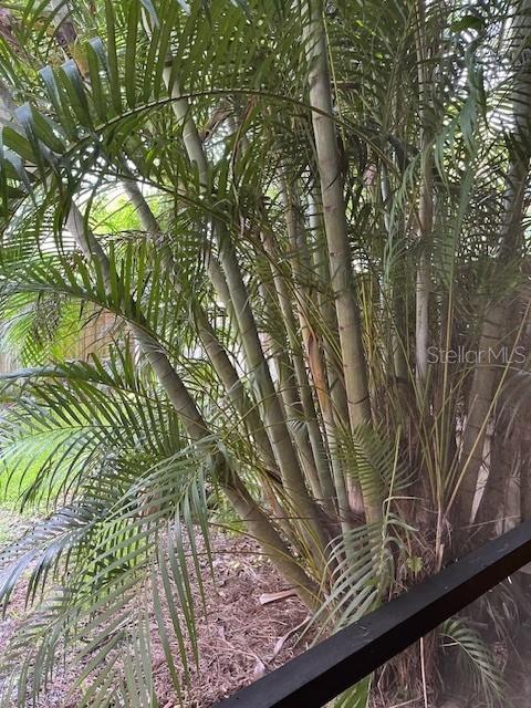 BELLA VISTA ON LAKE - Residential Lease