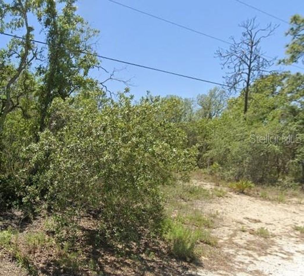 Photo of 5276 W Winter Sun Lane, Homosassa, FL 34446 (MLS # TB8499187)