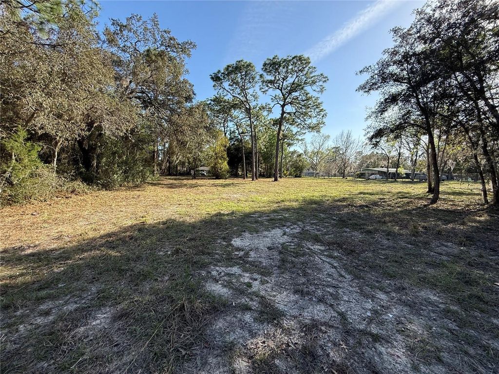 Photo of 6479 W Holiday Street, Homosassa, FL 34446 (MLS # TB8500021)