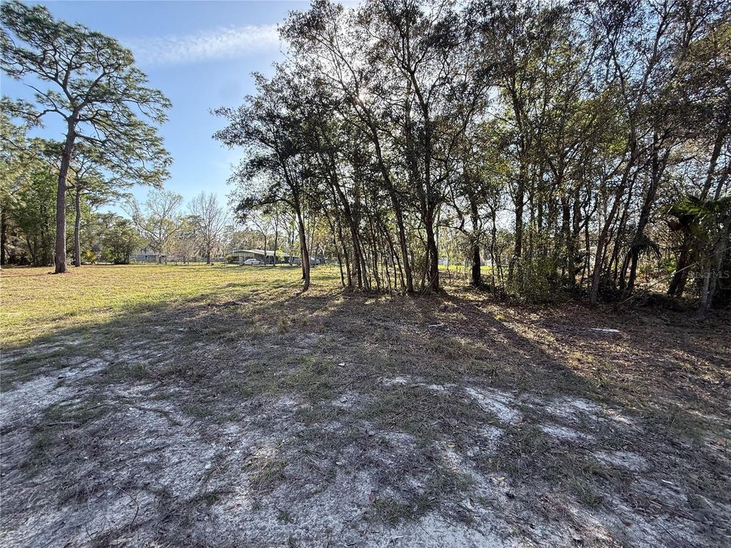 Photo of 6479 W Holiday Street, Homosassa, FL 34446 (MLS # TB8500021)