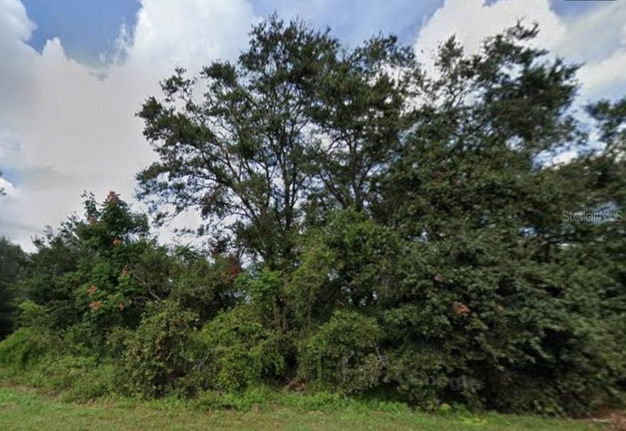 Discover your opportunity to own a breathtaking 8.01-acre slice of Florida paradise at 627 Citrus Grove Blvd N in Polk City!

This buildable property showcases stunning natural Florida landscape, offering privacy, space, and endless possibilities. The majority of the acreage is located in Flood Zone X — meaning no flood insurance is required — while approximately one-third of the property falls within Flood Zone AE, which would require flood insurance if building in that specific area.

With ample room to design and build your dream home, this expansive lot provides the perfect blend of peaceful country living and convenient access to everything Central Florida has to offer. Enjoy being just 35 minutes from the magic of Disney World and about an hour from multiple beautiful Florida beaches.

Imagine watching rocket launches right from your own yard, or take a short 1.5-hour drive to experience them up close at Kennedy Space Center. Nearby, you’ll find outstanding colleges, shopping, dining, and nearly every convenience you could want — all while enjoying the privacy of your own large estate-sized property.

Don’t miss this rare opportunity to own over 8 acres in a growing and highly desirable area of Polk City!