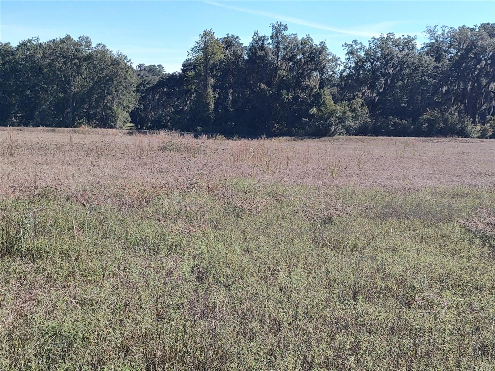 HUNTERDON HAMLET UN 01 - Land