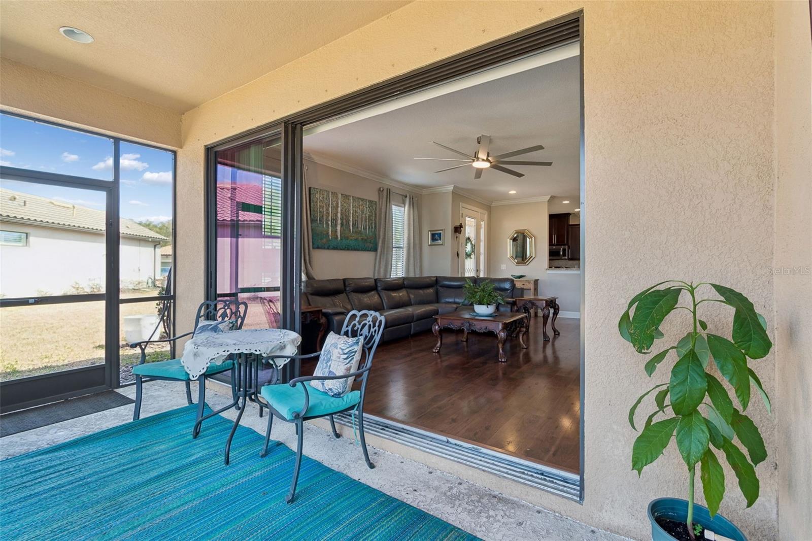 ESPLANADE OF TAMPA PH 1 - Residential