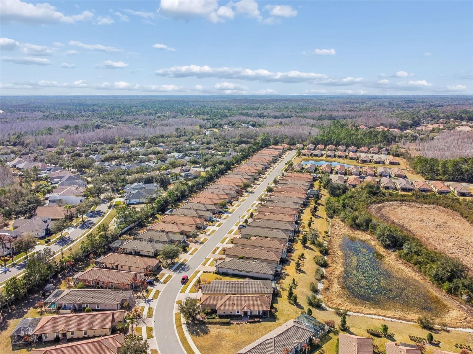 ESPLANADE OF TAMPA PH 1 - Residential