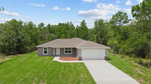 Photo of 11400 N Terra Cotta Drive, Citrus Springs, FL 34434 (MLS # OM696017)