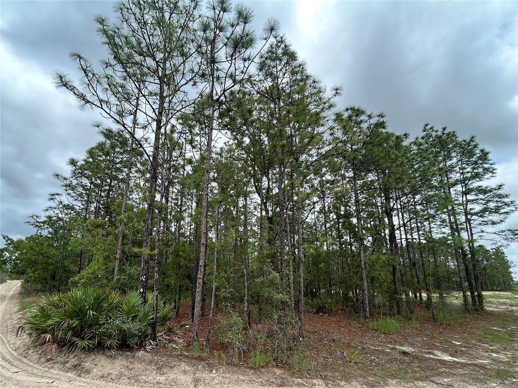 Photo of 0 Mellon Road, Weeki Wachee, FL 34614 (MLS # TB8385577)