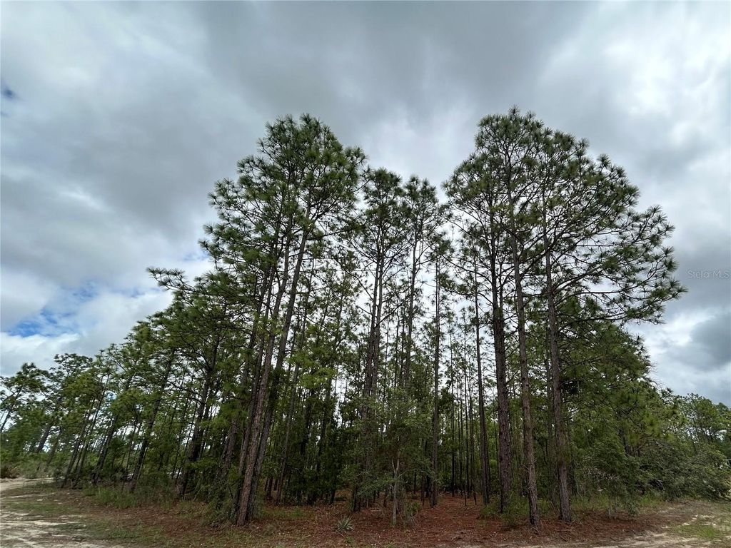 Photo of 0 Mellon Road, Weeki Wachee, FL 34614 (MLS # TB8385577)
