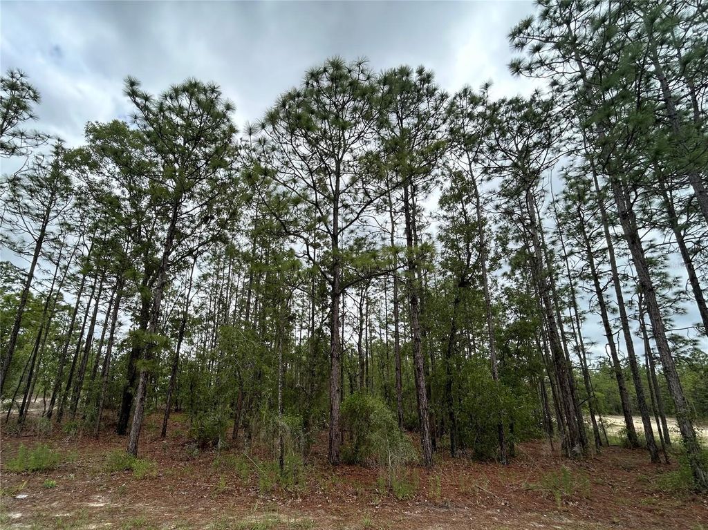 Photo of 0 Mellon Road, Weeki Wachee, FL 34614 (MLS # TB8385577)