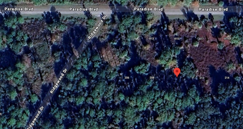 Photo of 210 Edgewood Drive, Georgetown, FL 32139 (MLS # A4680453)