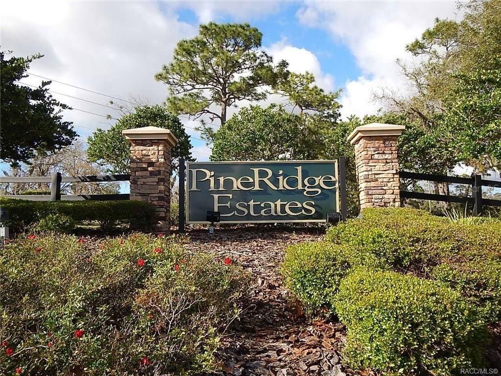 Photo of 4976 W Yearling Drive, Beverly Hills, FL 34465 (MLS # OM718758)