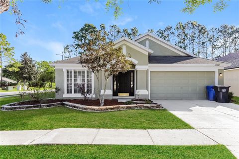Photo of 13302 Evening Sunset Lane, Riverview, FL 33579 (MLS # C7525973)