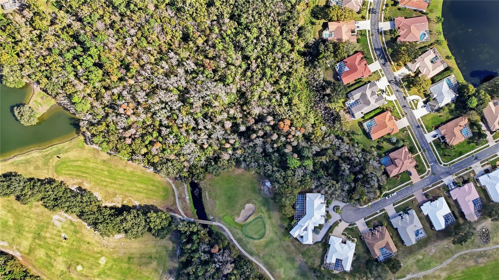 CRESCENT OAKS COUNTRY CLUB REGENCY PH 2 - Residential