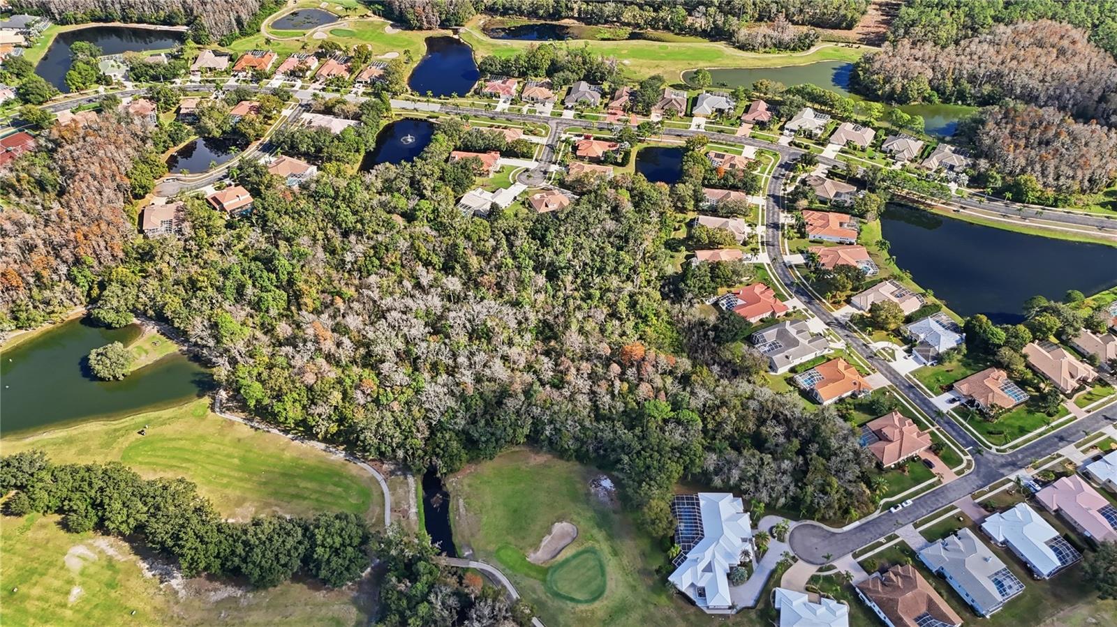 CRESCENT OAKS COUNTRY CLUB REGENCY PH 2 - Residential