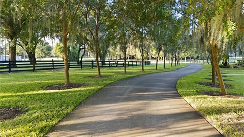 Tiny photo for 15211 Vinola Place, Montverde, FL 34756 (MLS # G5119029)