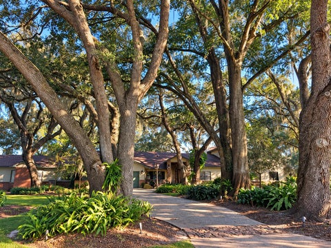 Tiny photo for 15211 Vinola Place, Montverde, FL 34756 (MLS # G5119029)