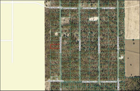Tiny photo for NW Ridgewood Road, Dunnellon, FL 34431 (MLS # OM727457)