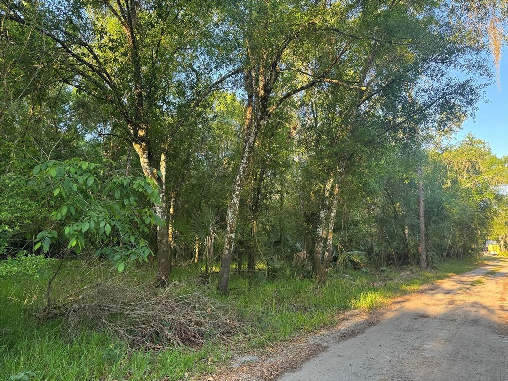 Photo of NE River Mill Drive, Arcadia, FL 34266 (MLS # C7508197)