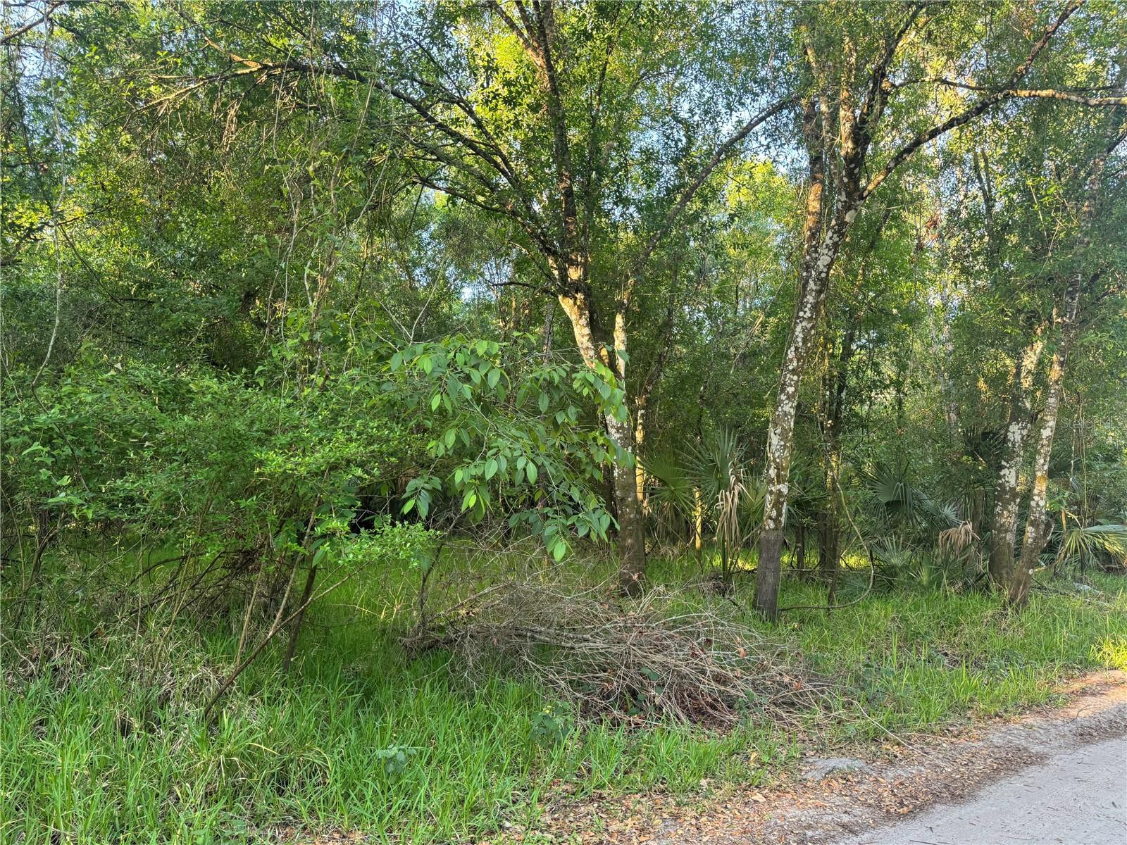 Looking for a little peace, a lot of nature, and your own slice of Florida freedom? Welcome to just over an acre of beauty in sunny Arcadia. This tree-covered property gives you the space to breathe, dream, and design your perfect getaway—whether that’s a weekend camp spot, a future home, or a quiet place to park your hammock and chill. But this one’s got more than just land—it comes with private neighborhood access to the Peace River boat ramp. So go ahead and plan your fossil hunts, lazy river floats, and fishing mornings. Nature is literally right at your doorstep. No matter what your plans are—building, relaxing, or just investing in a little piece of paradise—this property gives you the freedom to do it your way. Just double-check with DeSoto County Building & Zoning to make sure your plans line up!