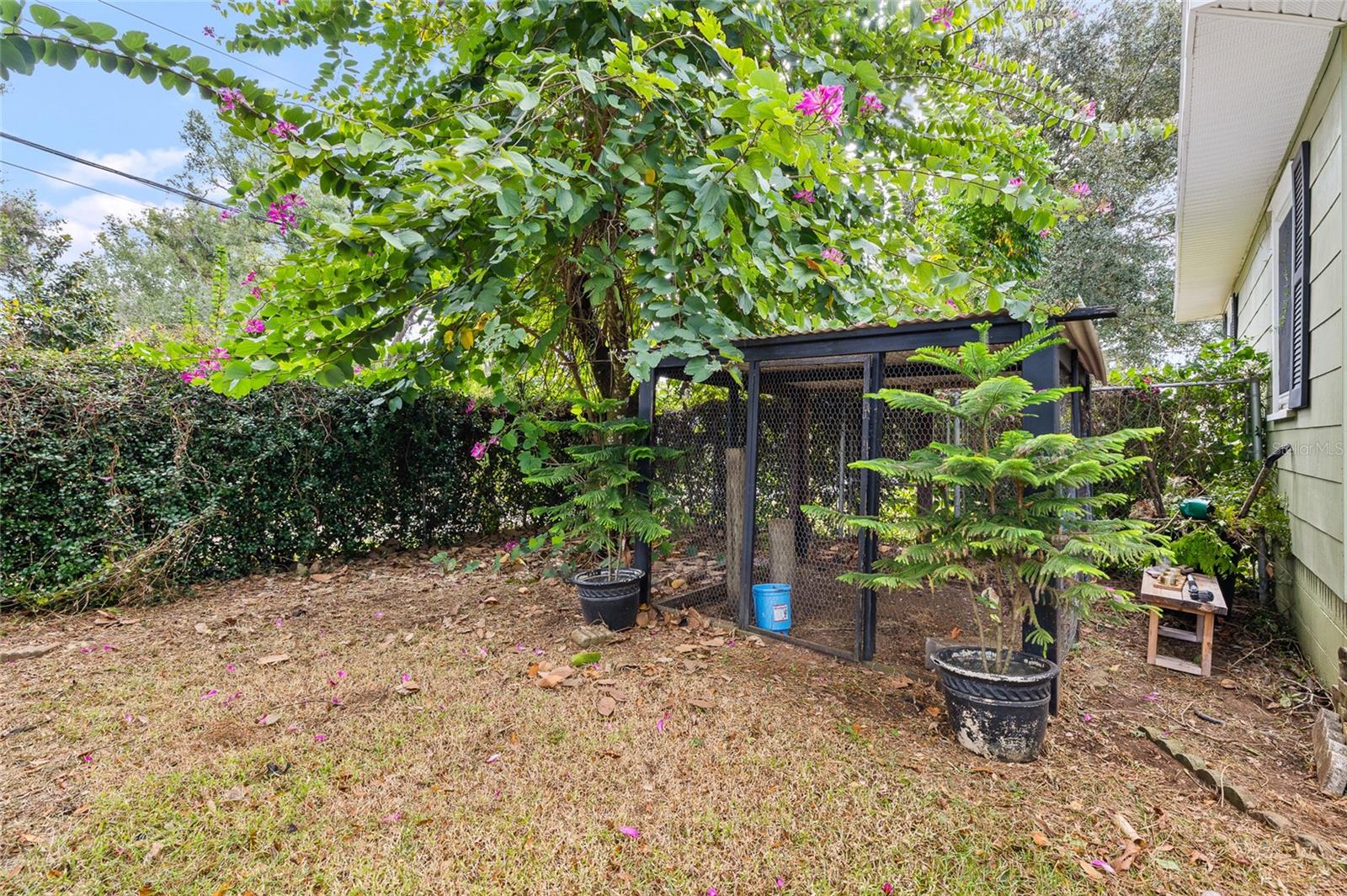 CONGRESS PARK - Residential