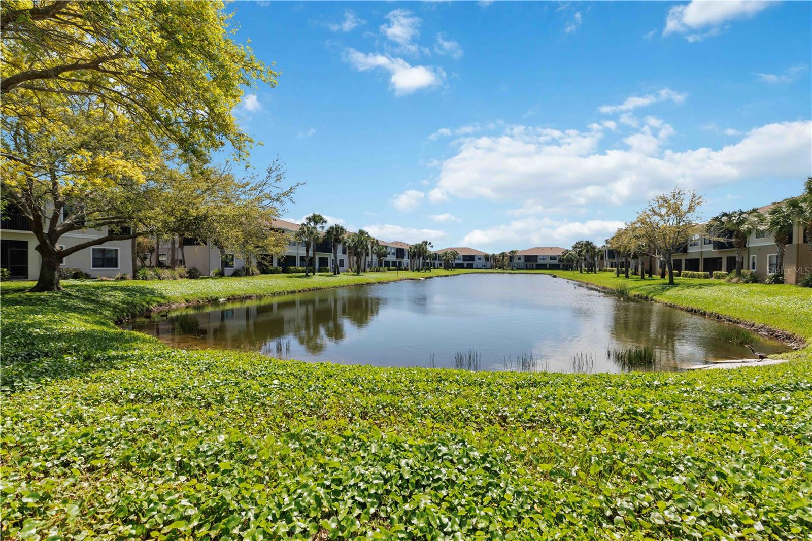 PALMA SOLA TRACE - Residential