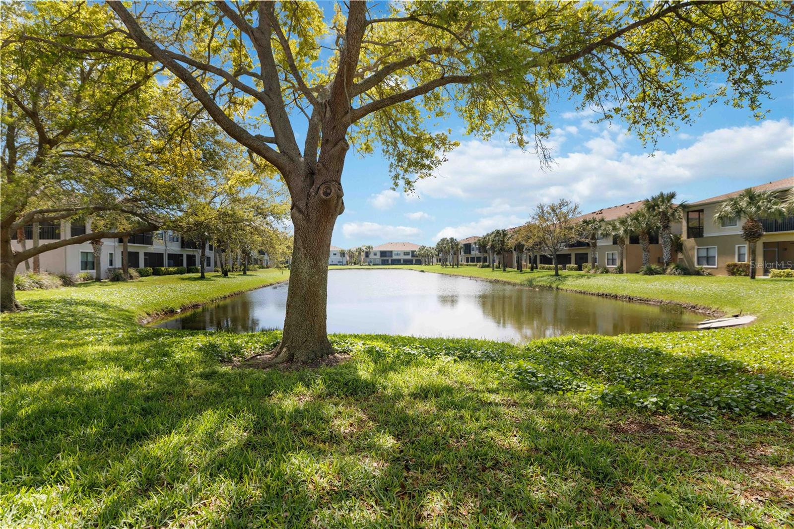 PALMA SOLA TRACE - Residential