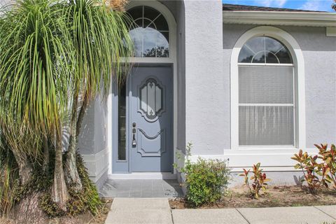 A home in APOPKA