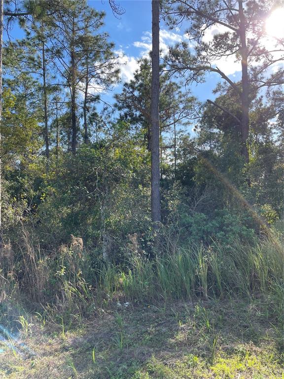 3125 HICKORY TREE ROAD